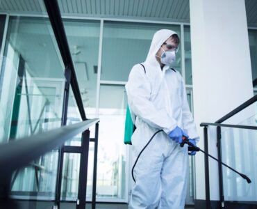 Why Regular Pest Control Matters (1) pest control