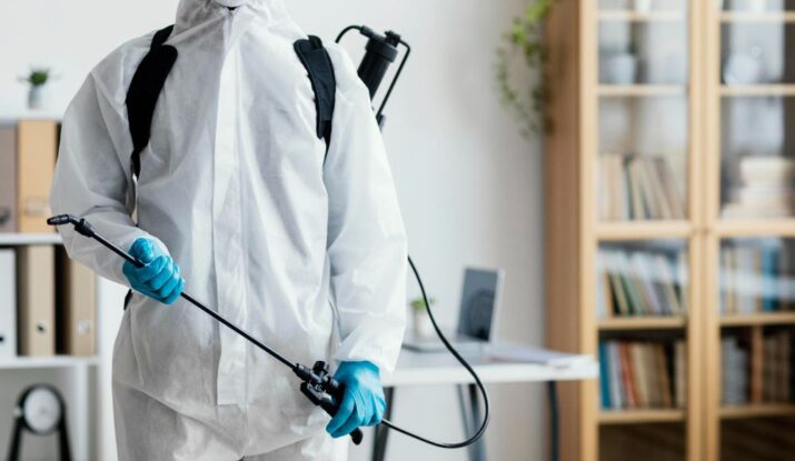 Pest control in Abu Dhabi