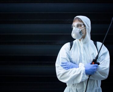 Safe Pest Control in Abu Dhabi Family & Pet-Friendly Solutions grease trap